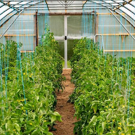 Mothir Joerth Organic Farm Guesthouse In Vallanes Exterior foto